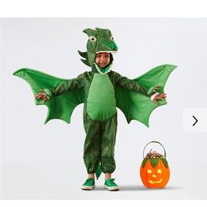 LIKE NEW pottery barn dragon costume